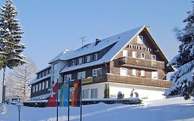 Hotel Diana Feldberg 3*